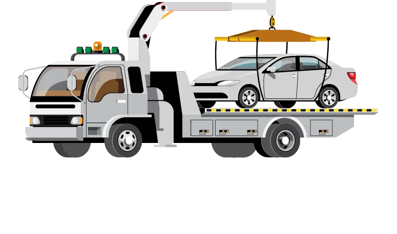 Winsh24 Logo